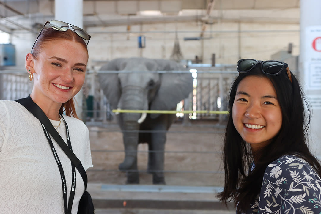 Two young women pose in front of an elephant at Sedgwick County Zoo