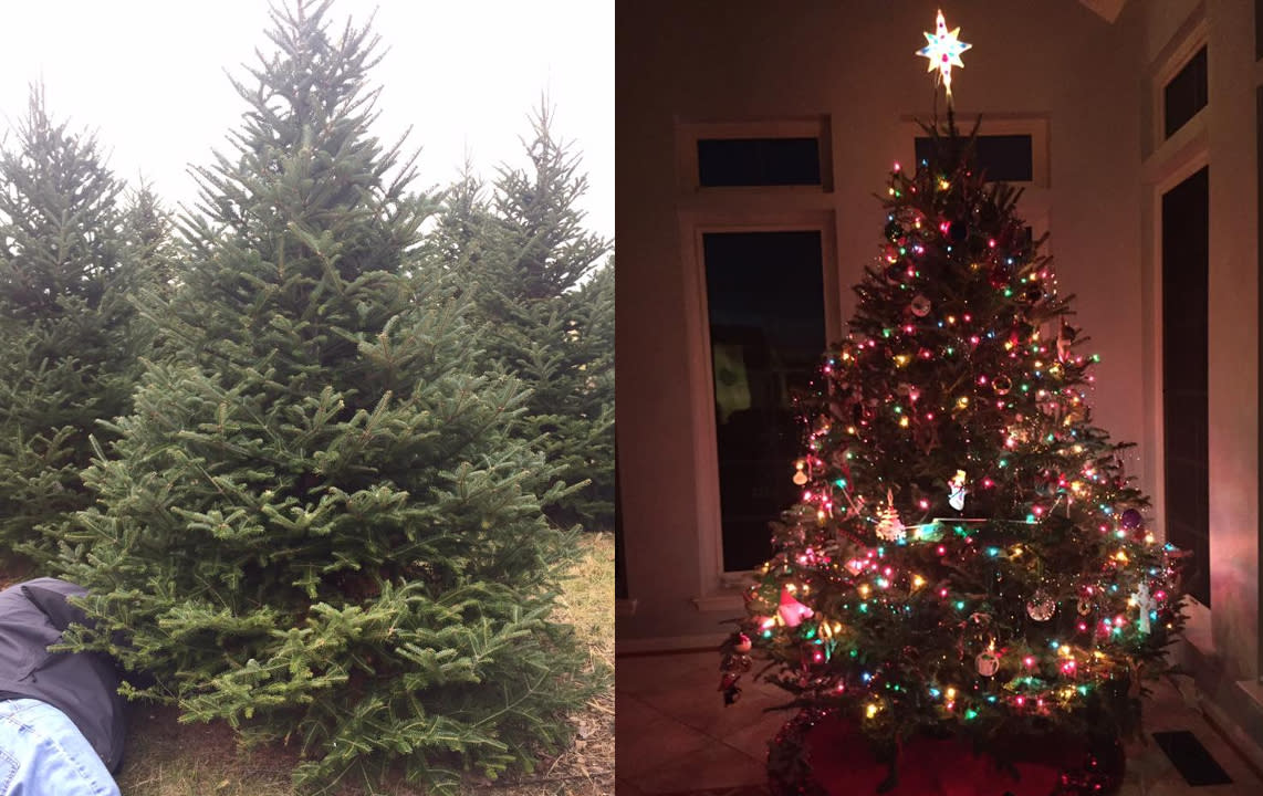 Christmas Tree Before After