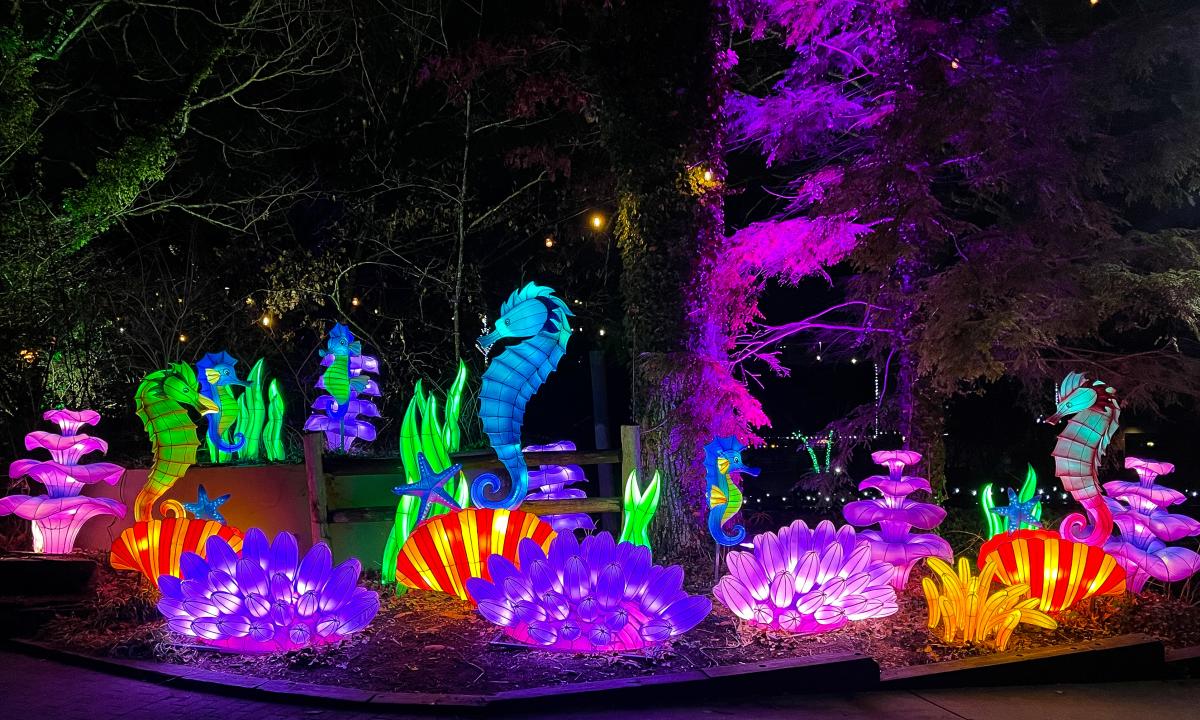 Sea Horses at the Asian Lantern Spectacular