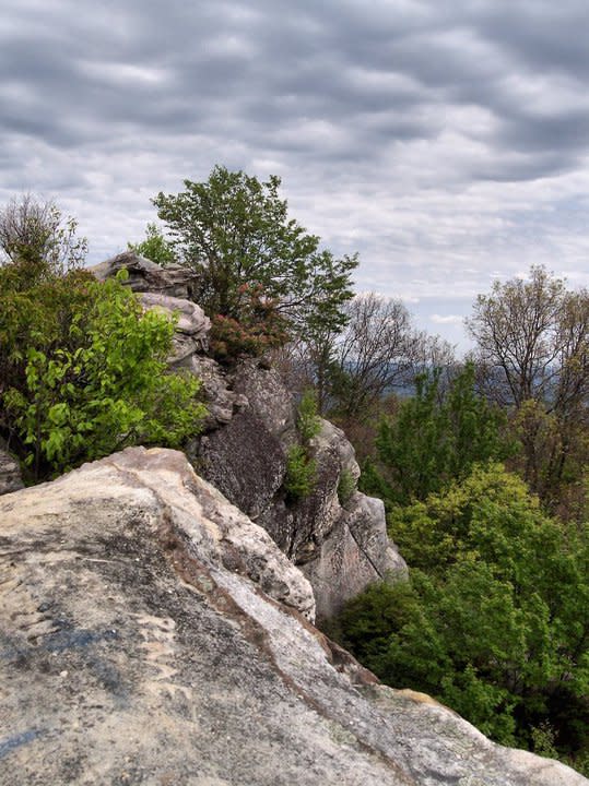 Harlan tourism trails