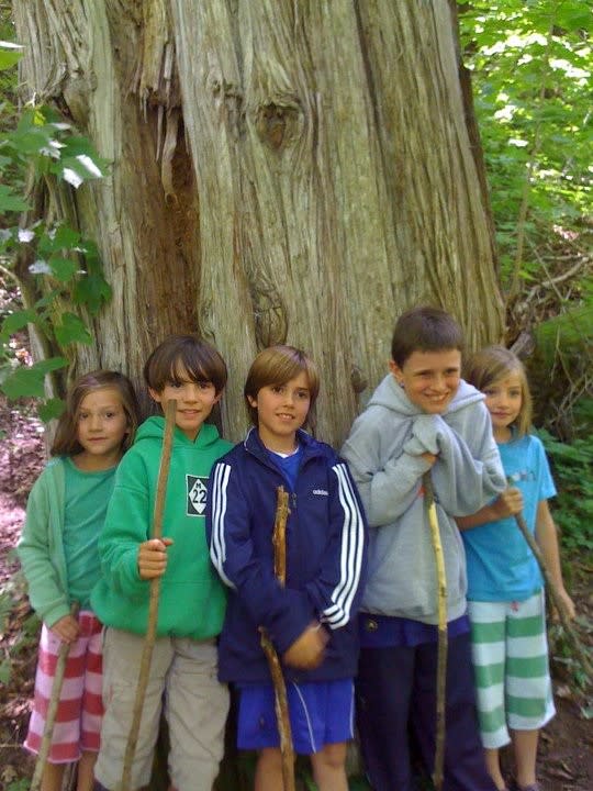 cedar_tree_kids