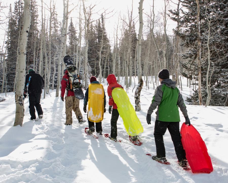 Snowshoeing and Sledding