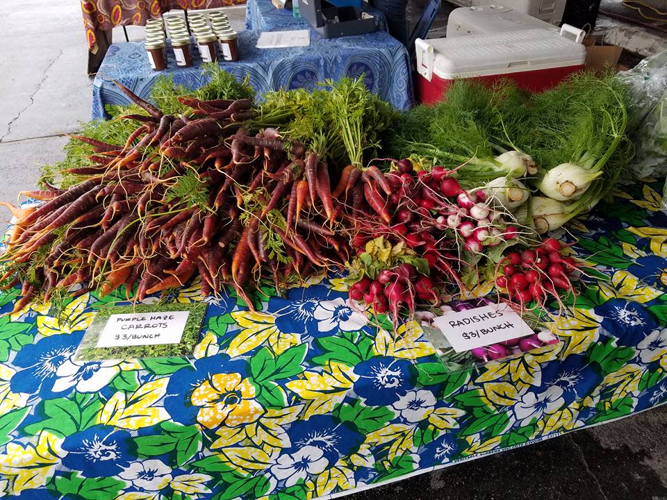Plant it Forward Farms