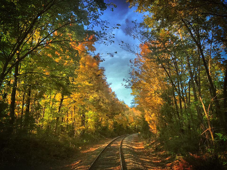 Nickel Plate Express railroad through a fall forest