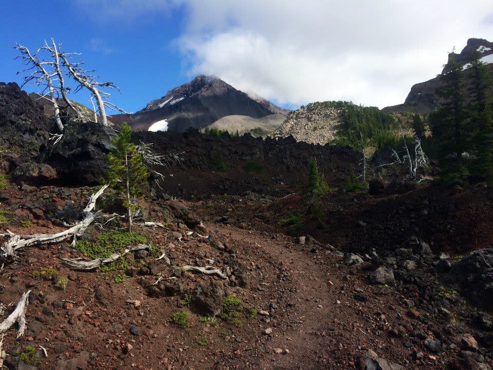 PCT by Nathan Snider PCT by Nathan Snider