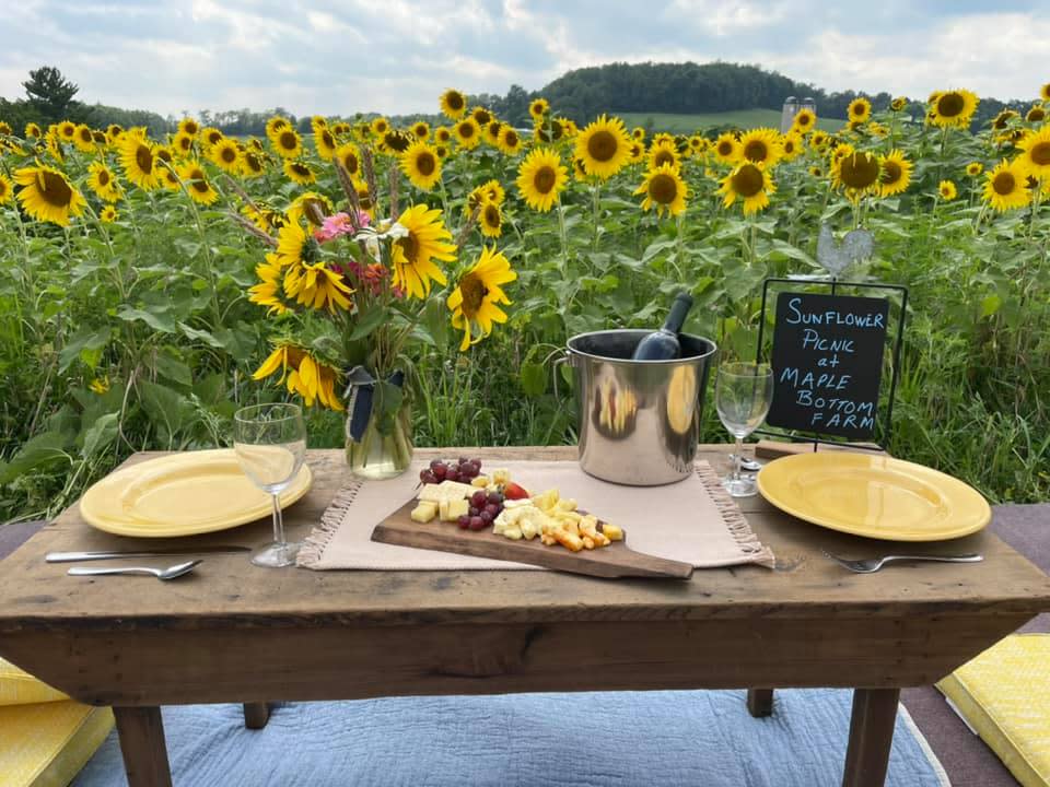 Picnic at Maple Bottom Farm