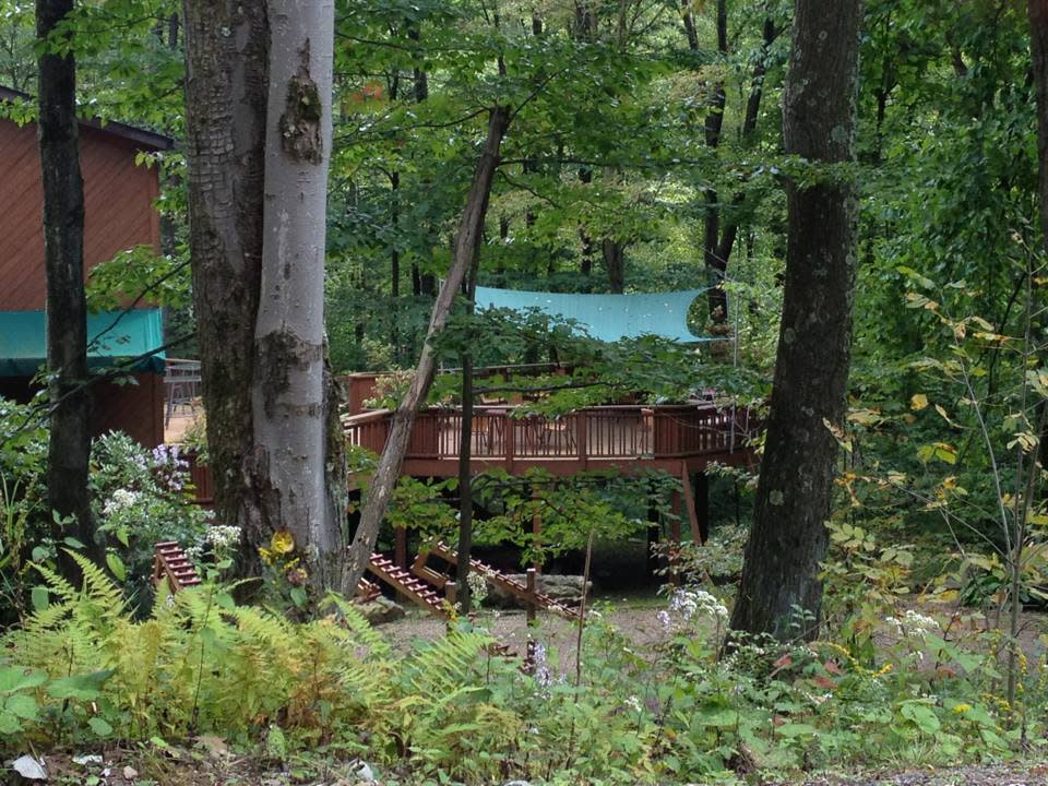 TreeTops at Polymath Park