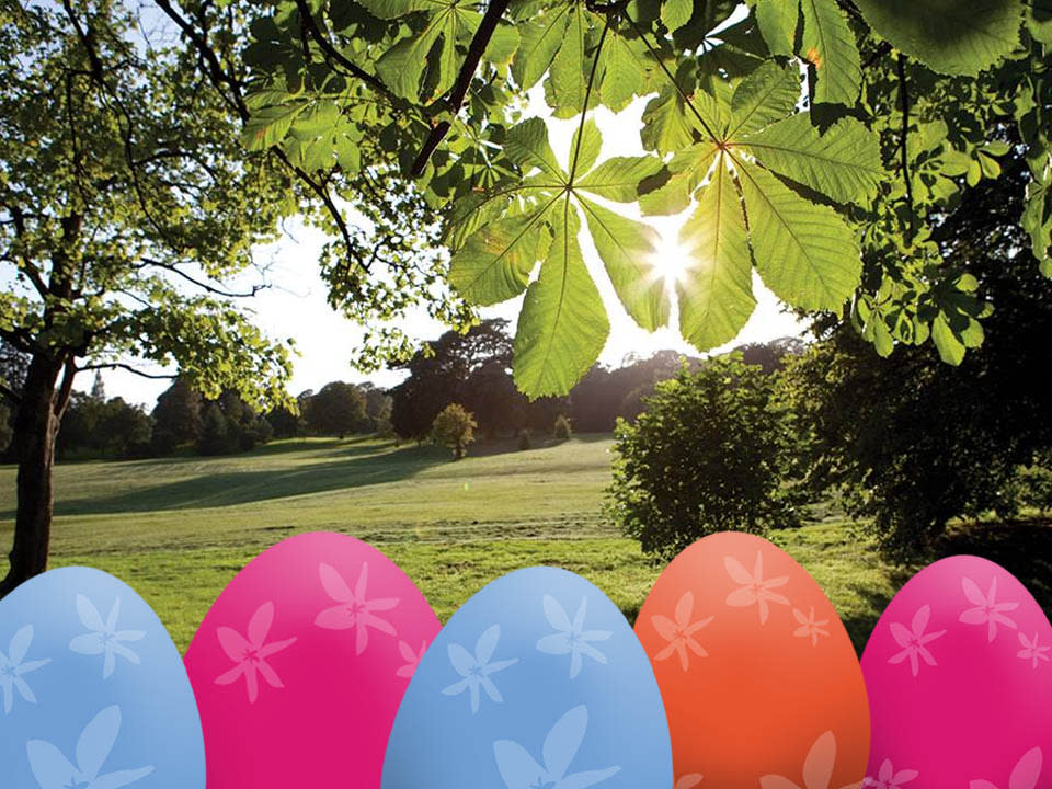 Cartoon eggs overlaid on an image of Singleton Park.