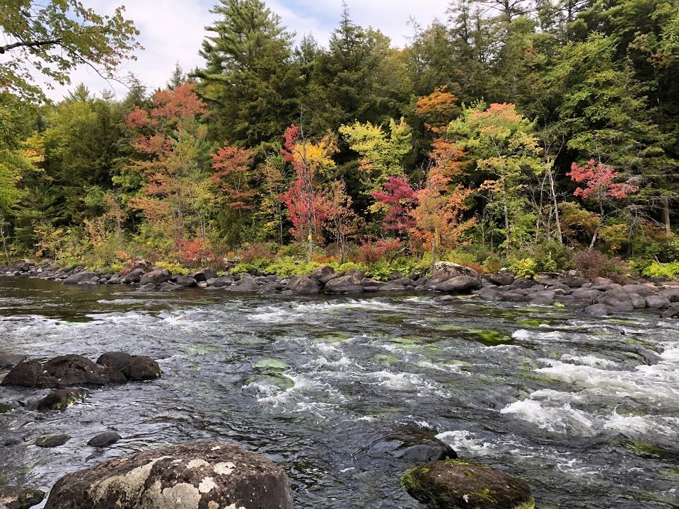 Schroon River in Fall