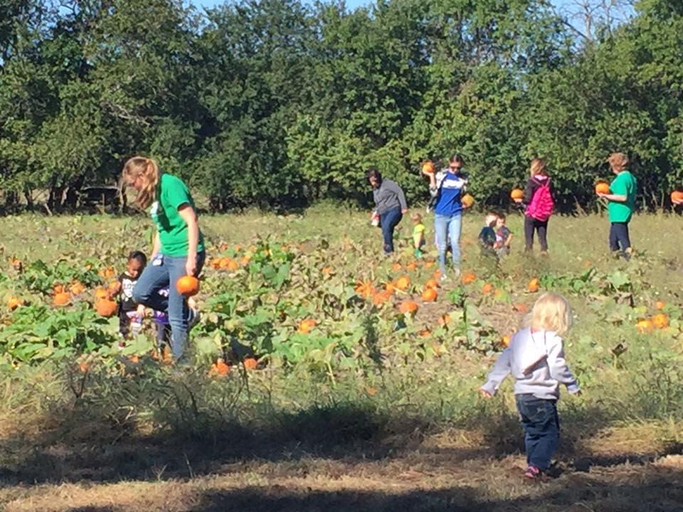 applejack pumpkin fall festival