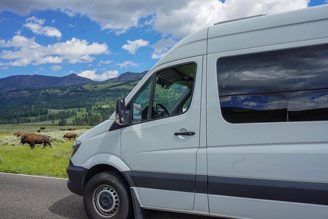 Yellowstone National Park Tours