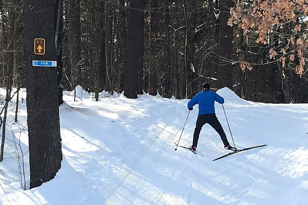 Cross-Country Skiing at Cole's Woods