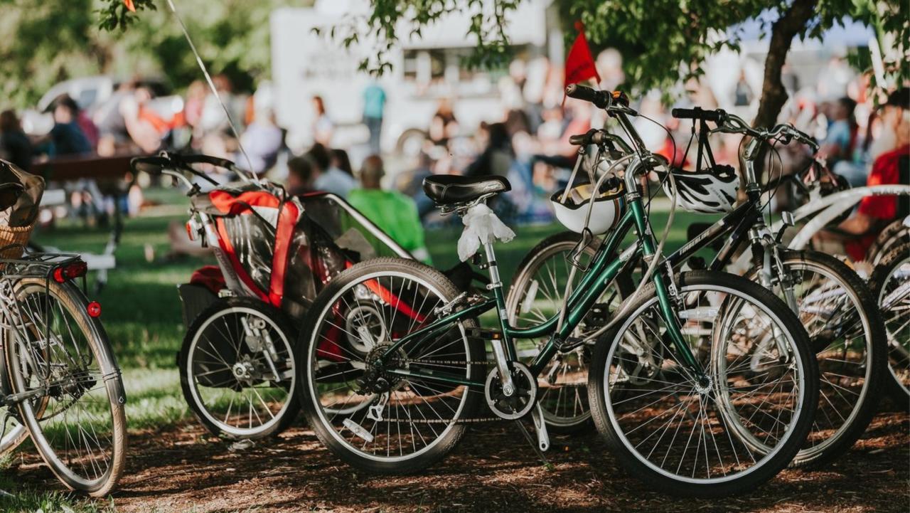 Pabs bike shop on sale