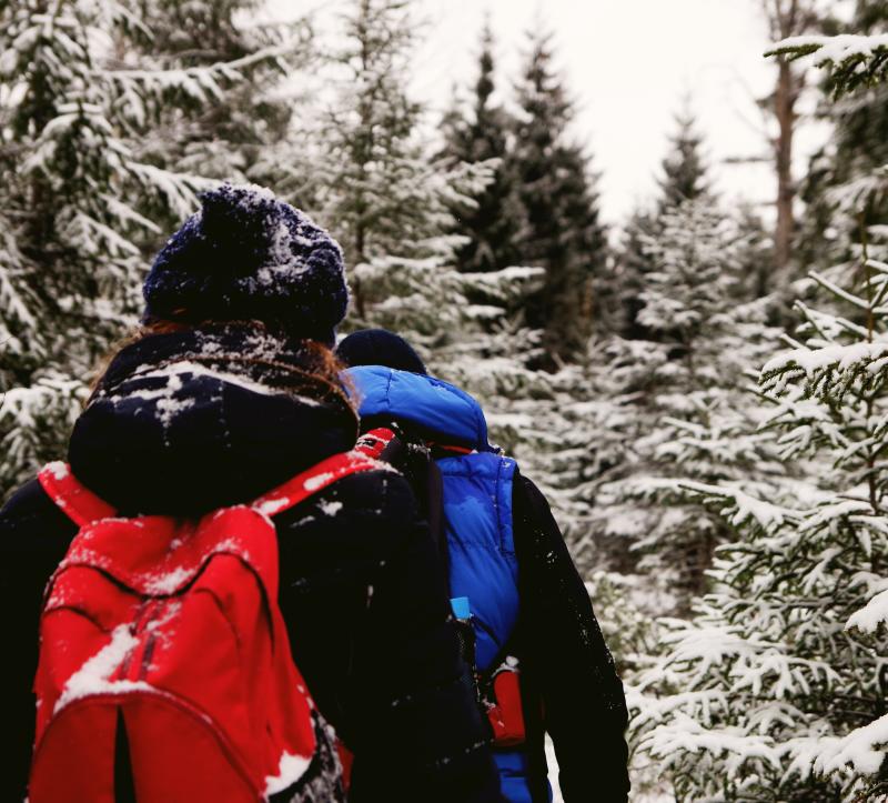 Winter-Hiking-Canvas