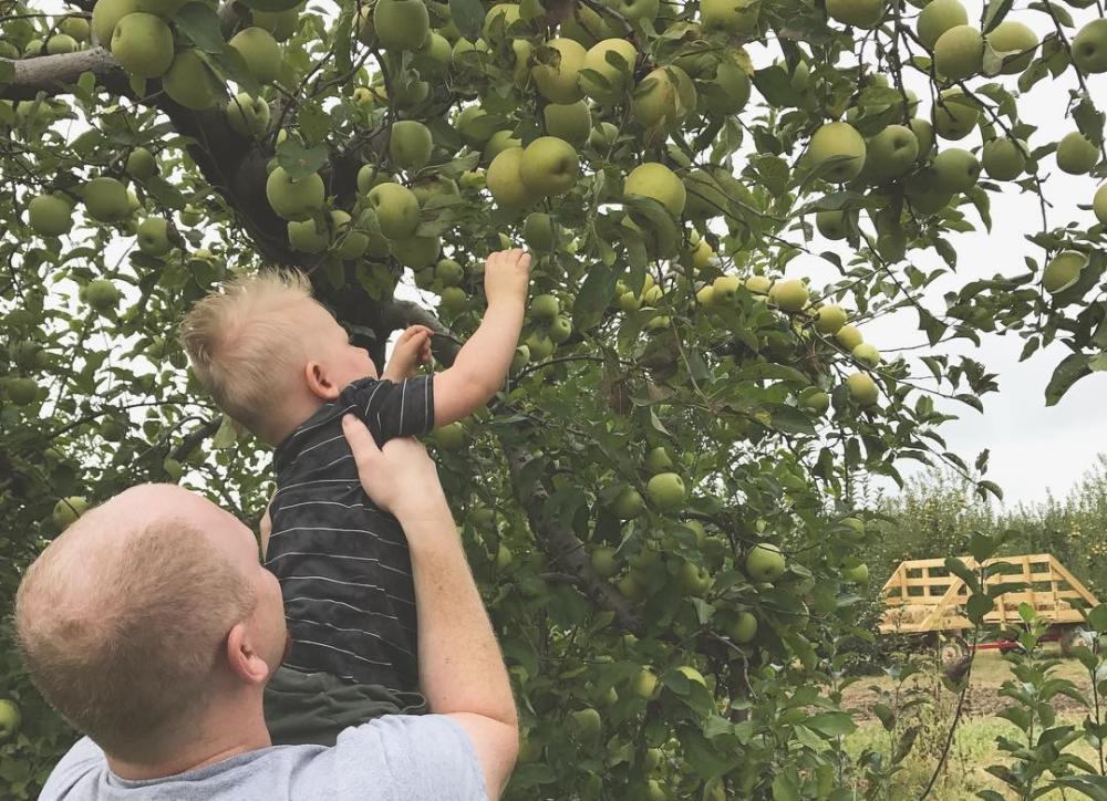 Beasley's u-pick apples horizontal