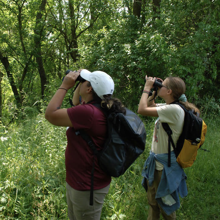 W.K. Kellogg Bird Sanctuary