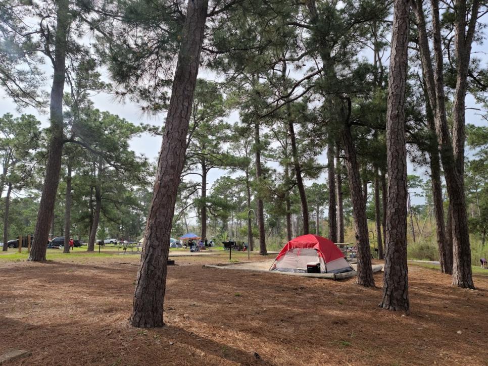 Bastrop State Park Camping