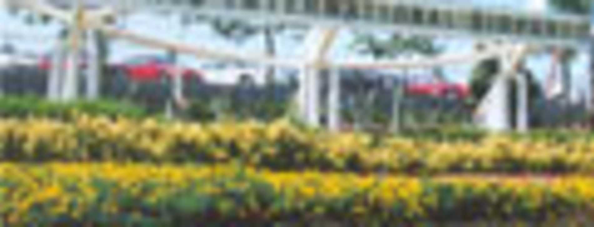 Ontario Airport