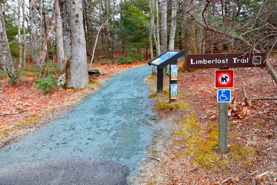 Limberlost Trail