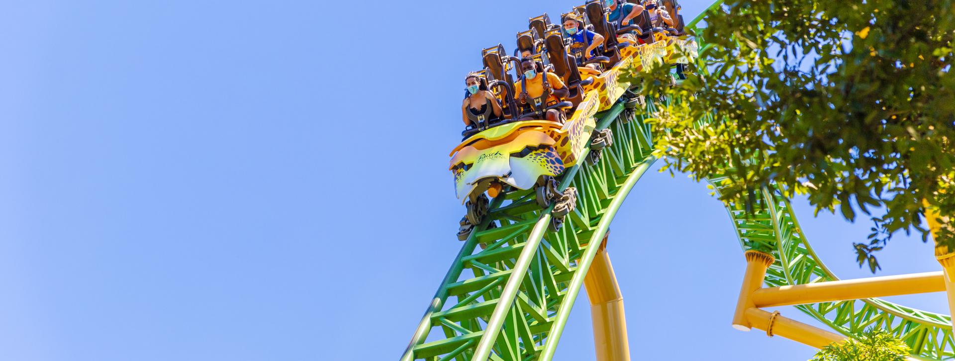 Tampa Bay Attractions Reopening Guide