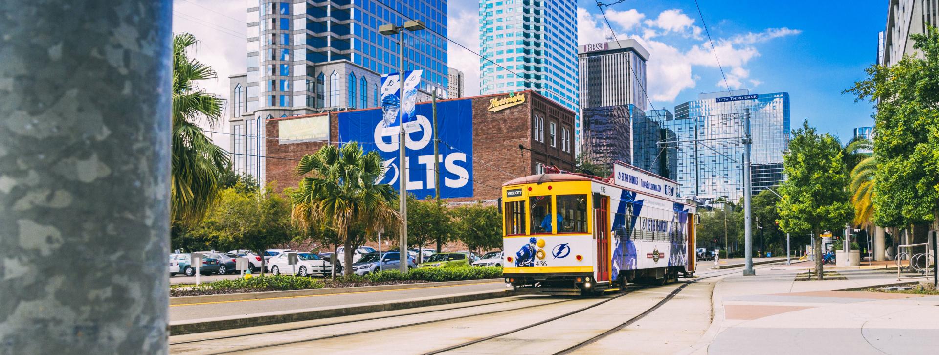 Ibex Visit Tampa Bay