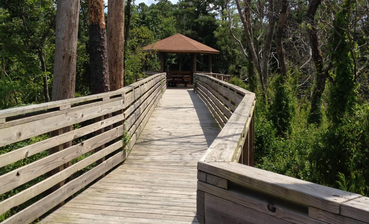 A view of the wooden walkway at Sandy Sun Park in Kitty Hawk, NC.