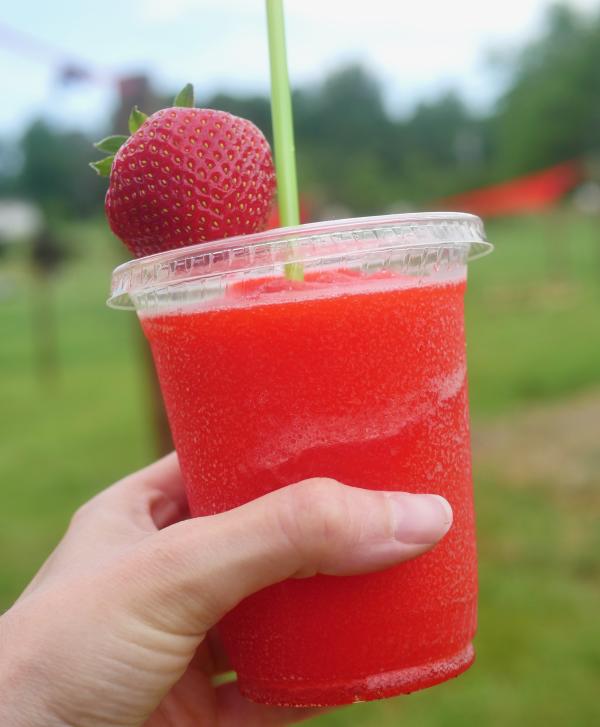 Larriland Farm Strawberry Festival