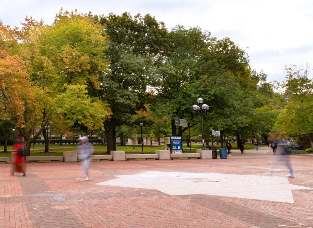 trees of green, light green, and orange leaves surround a brick square platform outdoors.