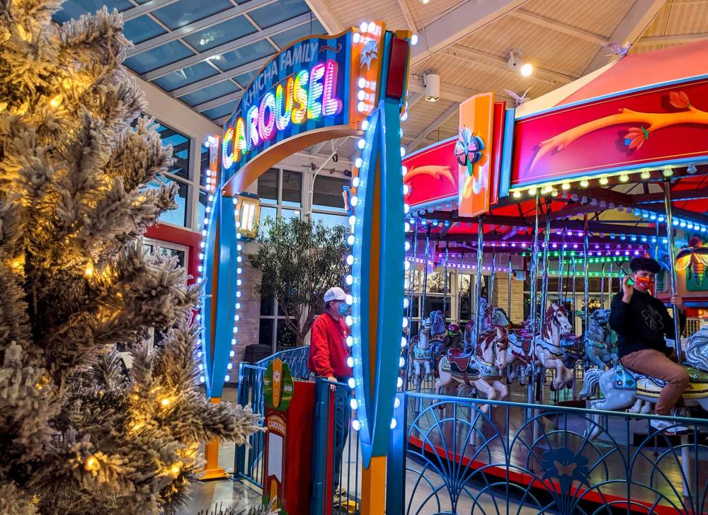 A Christmas tree is subtly lit in front of the carousel during Illumination Botanica Wichita