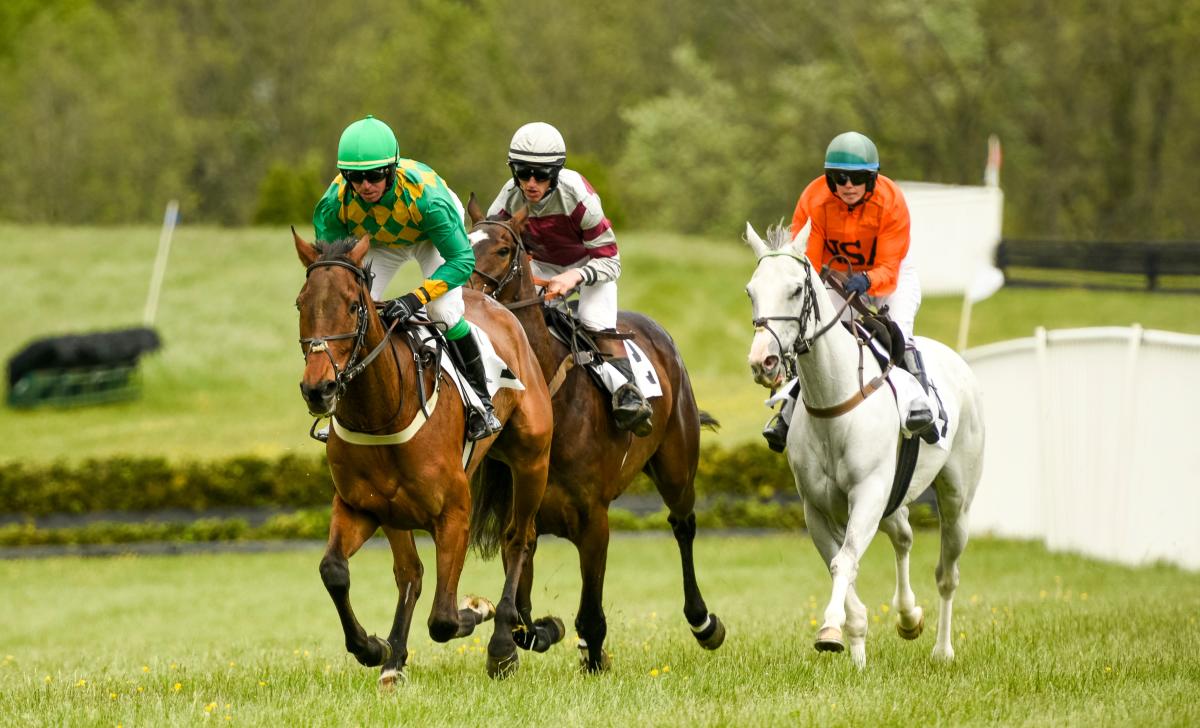 Willowdale Steeplechase