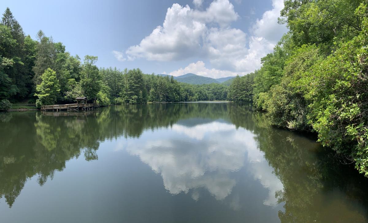 IMG_4677_scaled_020298b8-9476-4cde-96bf-460f5c18f3cf