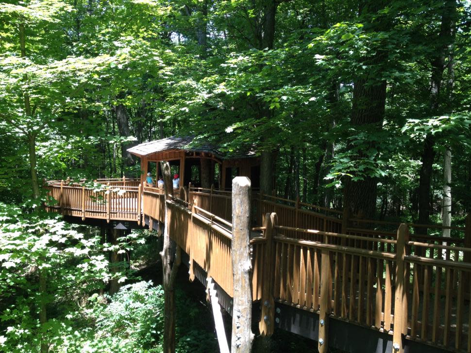 Mt. Airy Forest Treehouse (photo: CincinnatiUSA.com)