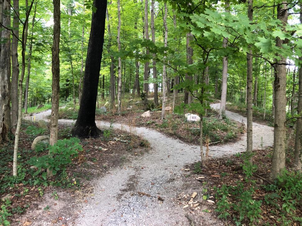 Woodland Walkway at Spring Grove Cemetery and Arboretum