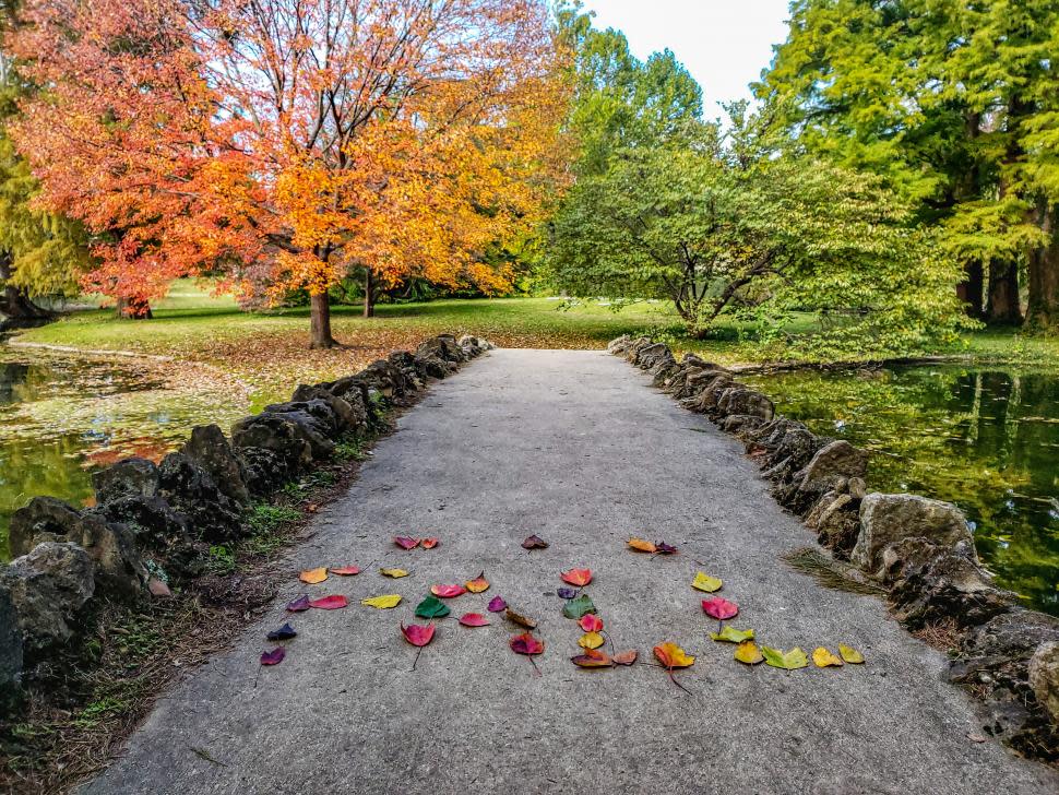 Spring Grove Cemetery and Arboretum in the fall (photo: Abby Erwin)
