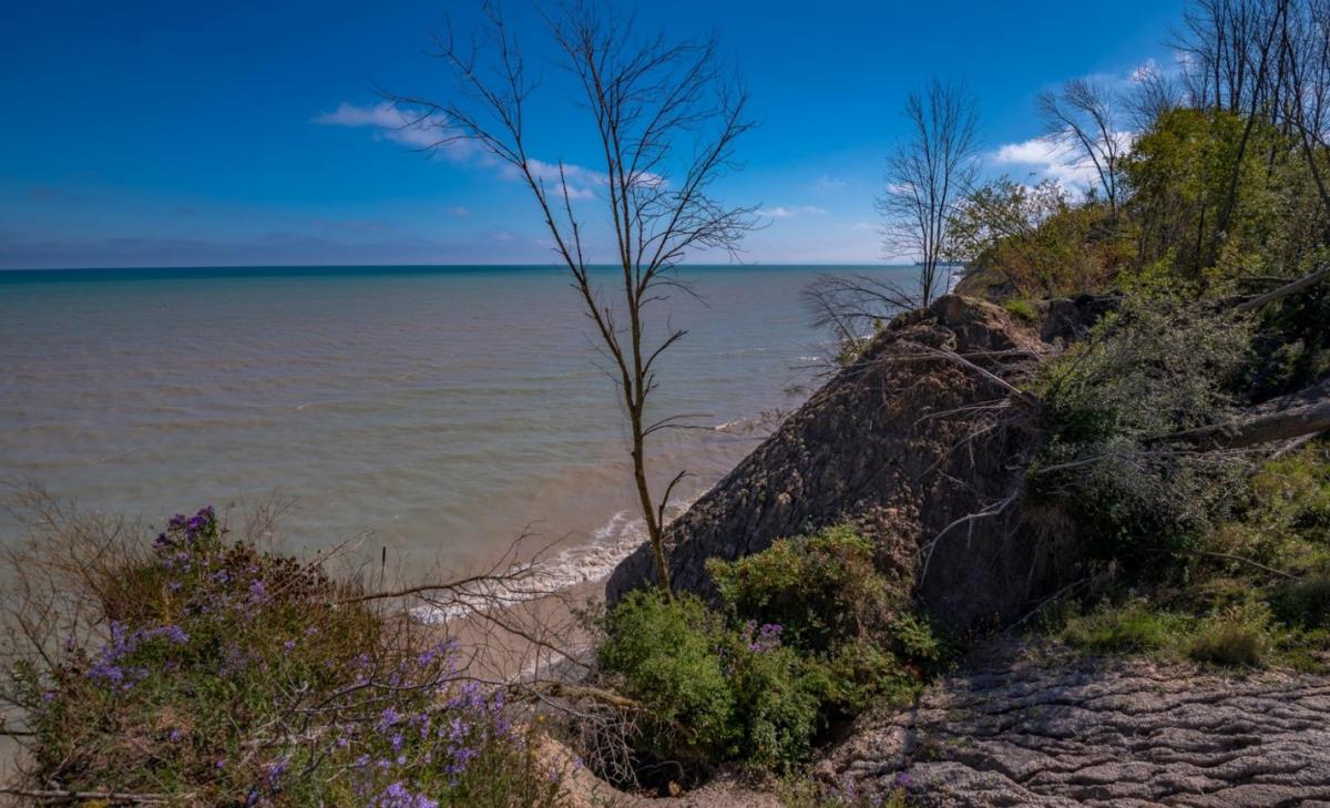 Cliffside