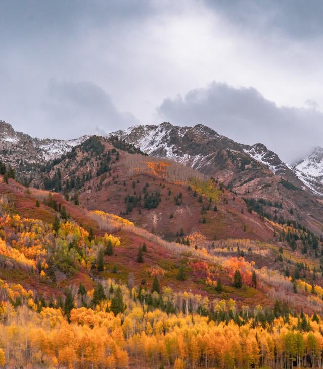 50 Date Ideas In Utah Valley Explore Utah Valley