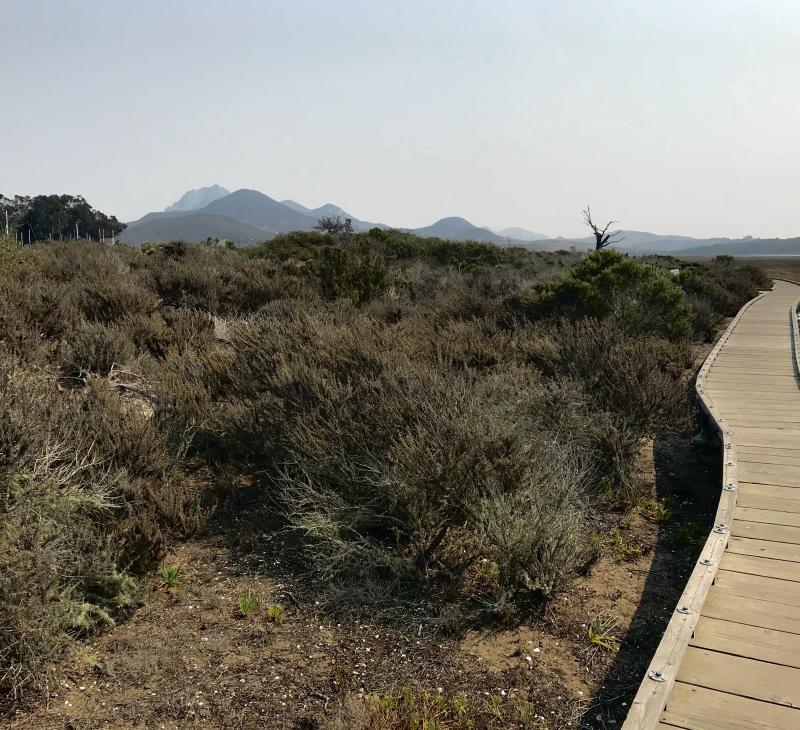 Marina Point Trail