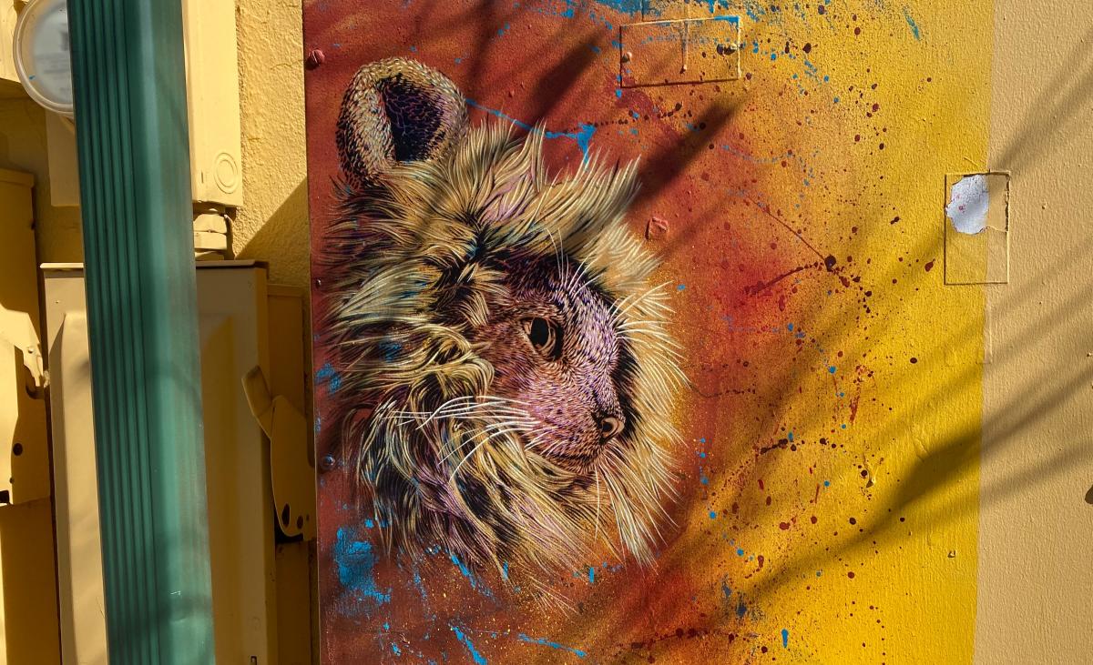 SMiLE Artwork Lion Cat