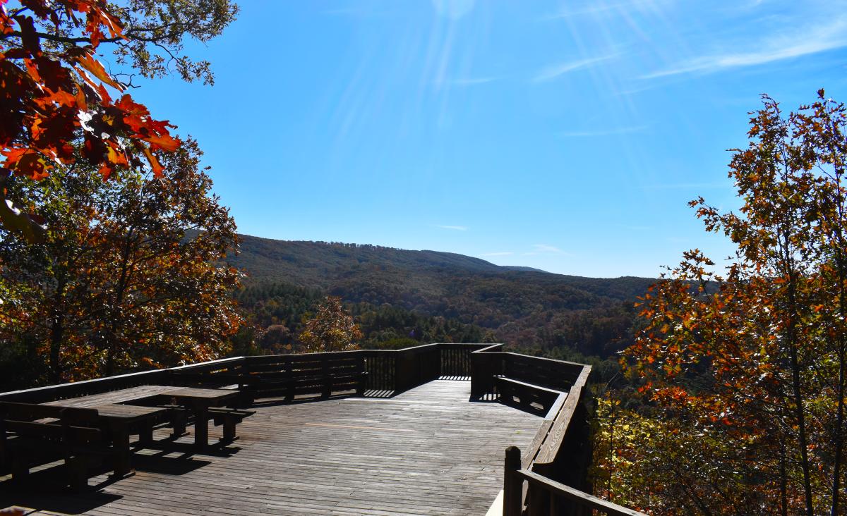 A wooden planked decking with rails extends out from the mountain and creates an overlook into a mountain vista with fall foliage.