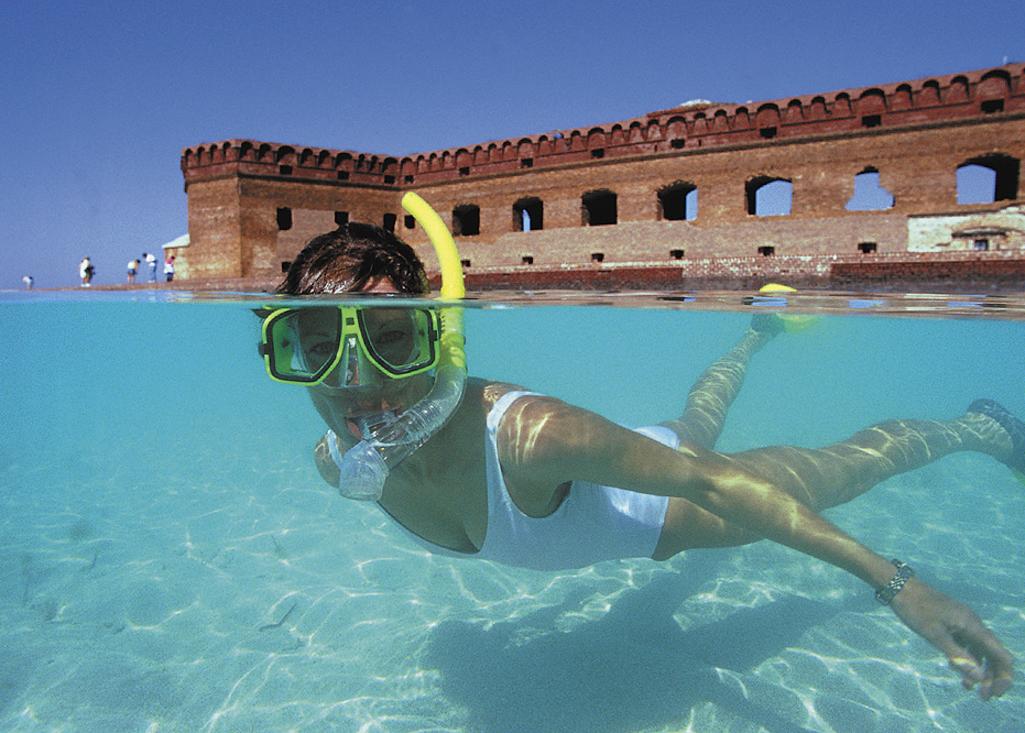 Snorkeling  at Dry Tortugas National Park