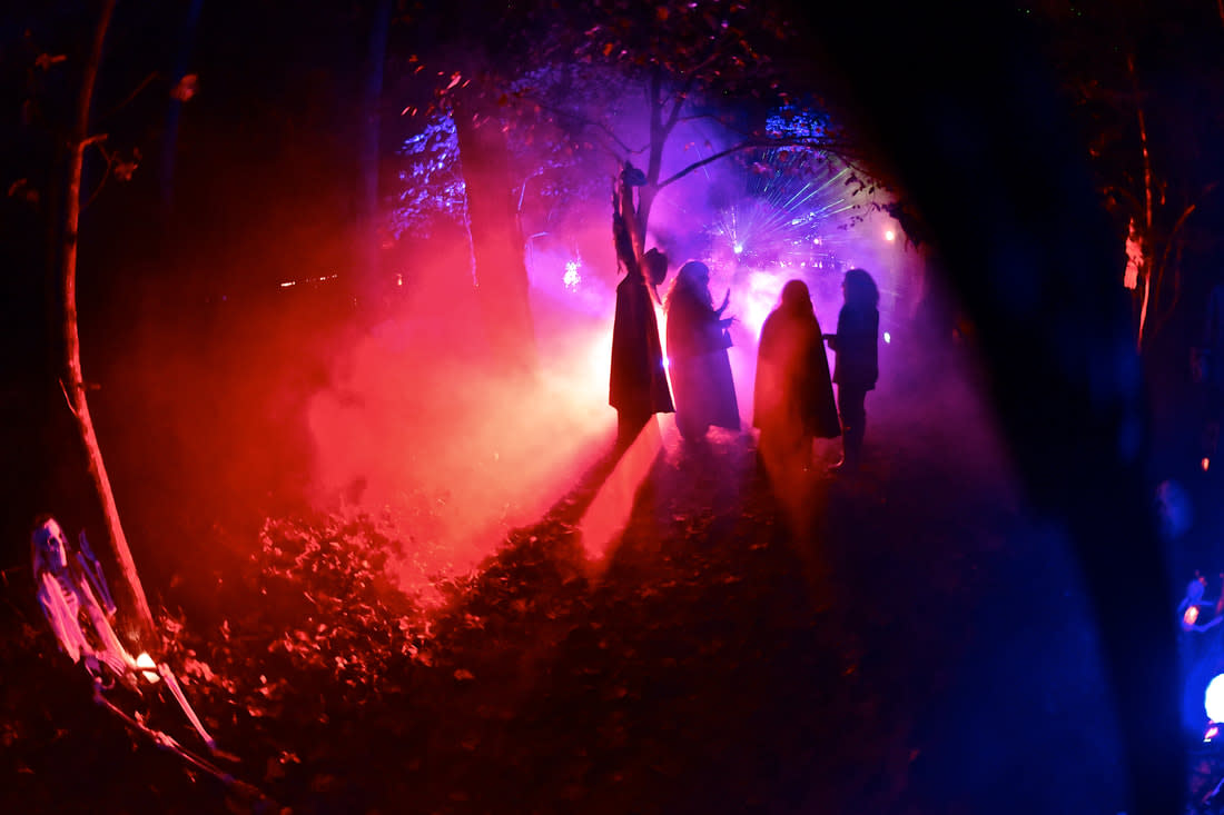Fog filled woods seeping with red and purple lights with four shrouded characters in the distance