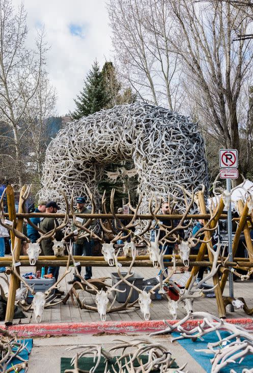 antler arches