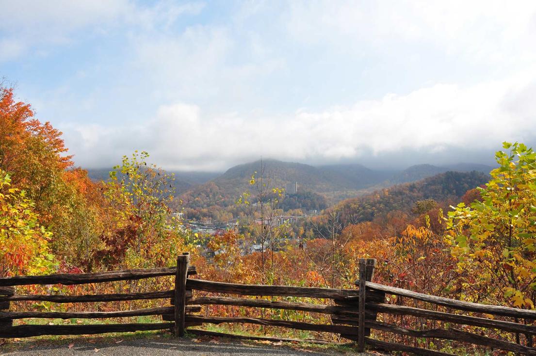 Misty Fall Foliage