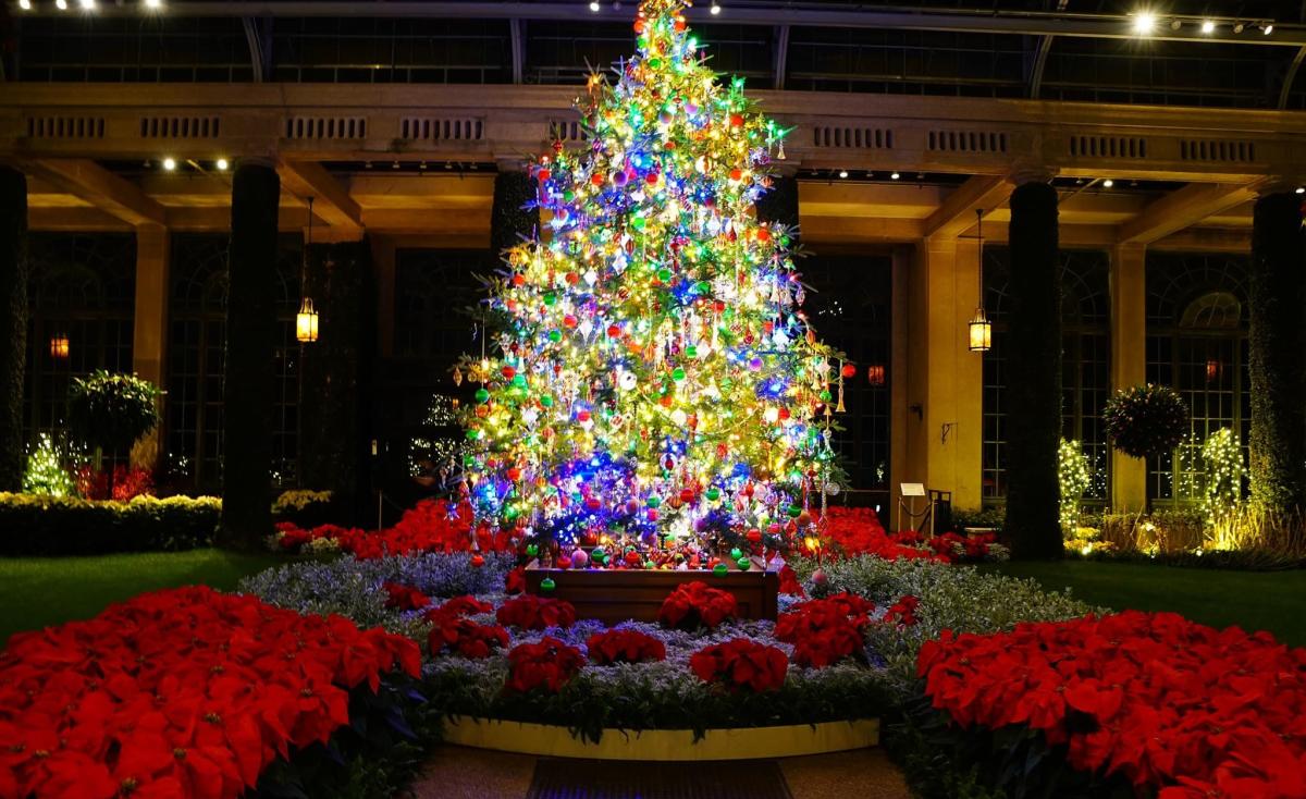 A Longwood Christmas - Conservatory 2023
