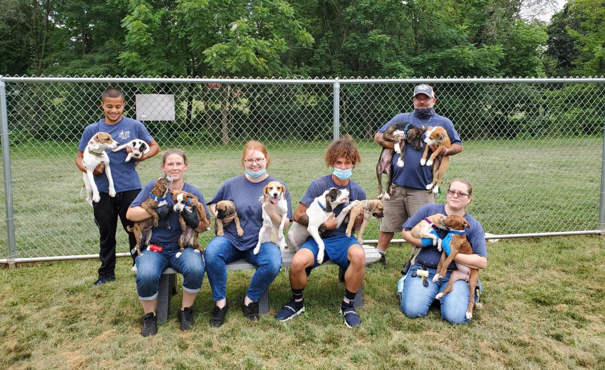 Lehigh County Humane Society