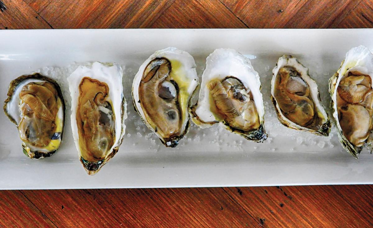 Outer Banks steamed oysters on a plate.