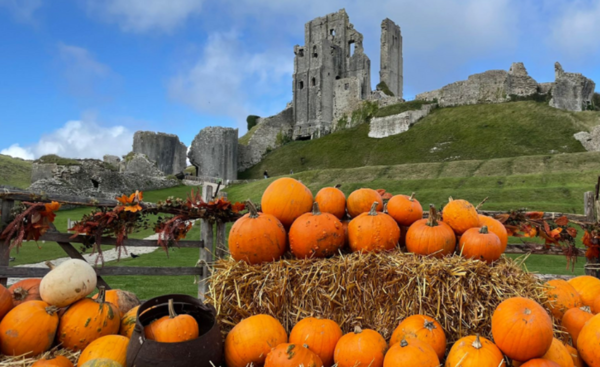 Corfe Castle & pumpkins