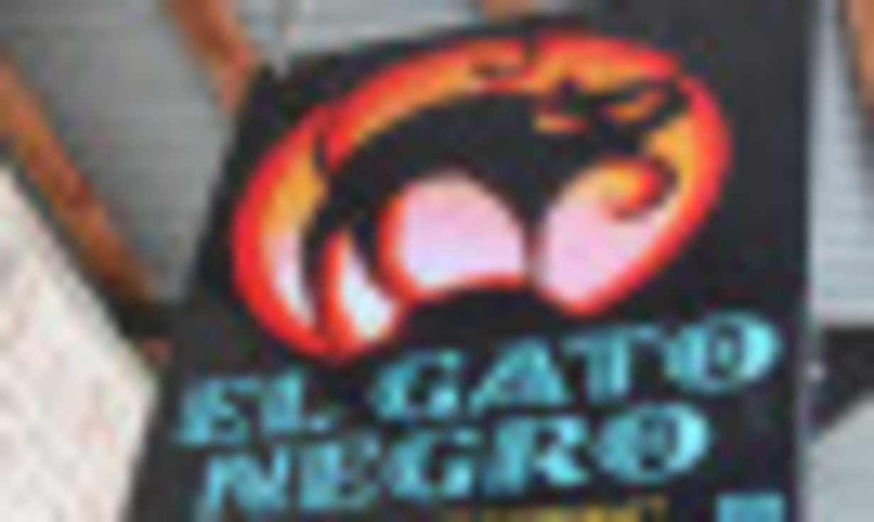 El Gato Negro 2