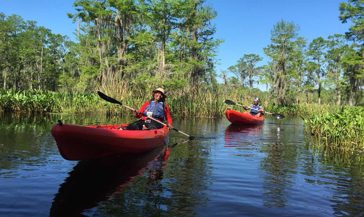 A New Orleans Kayak Swamp Tour