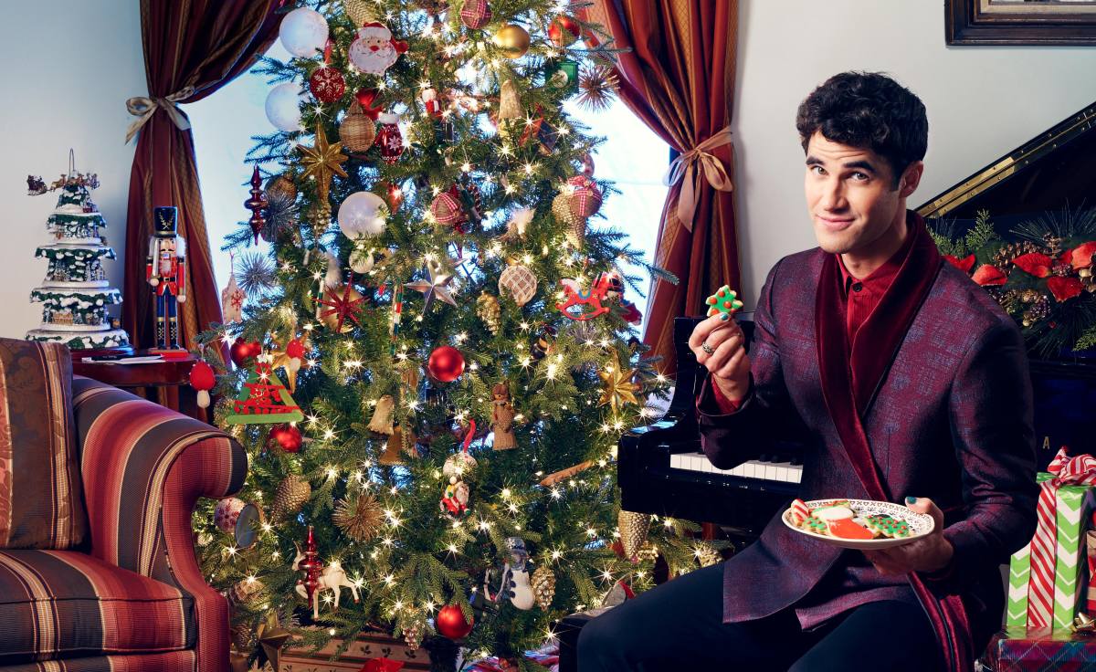 Darren Criss - Wolf Trap - Christmas - Artist